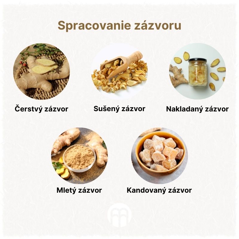 (Slovenčina) Zpracování zázvoru